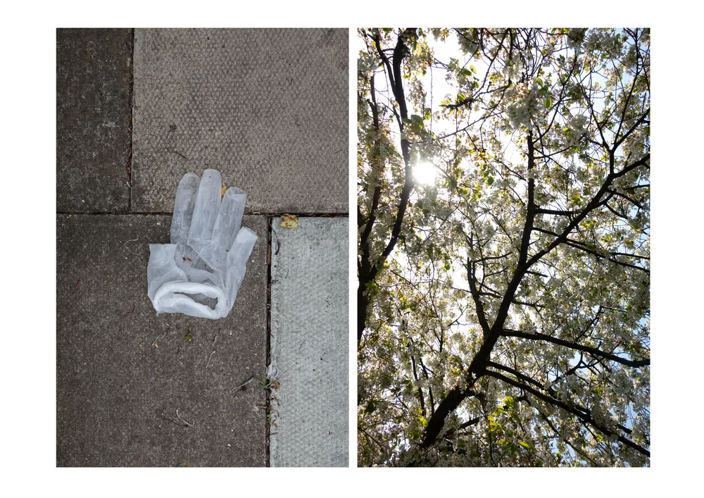 Postcards from the Pandemic — photograph 1 by Natasha Durlacher
