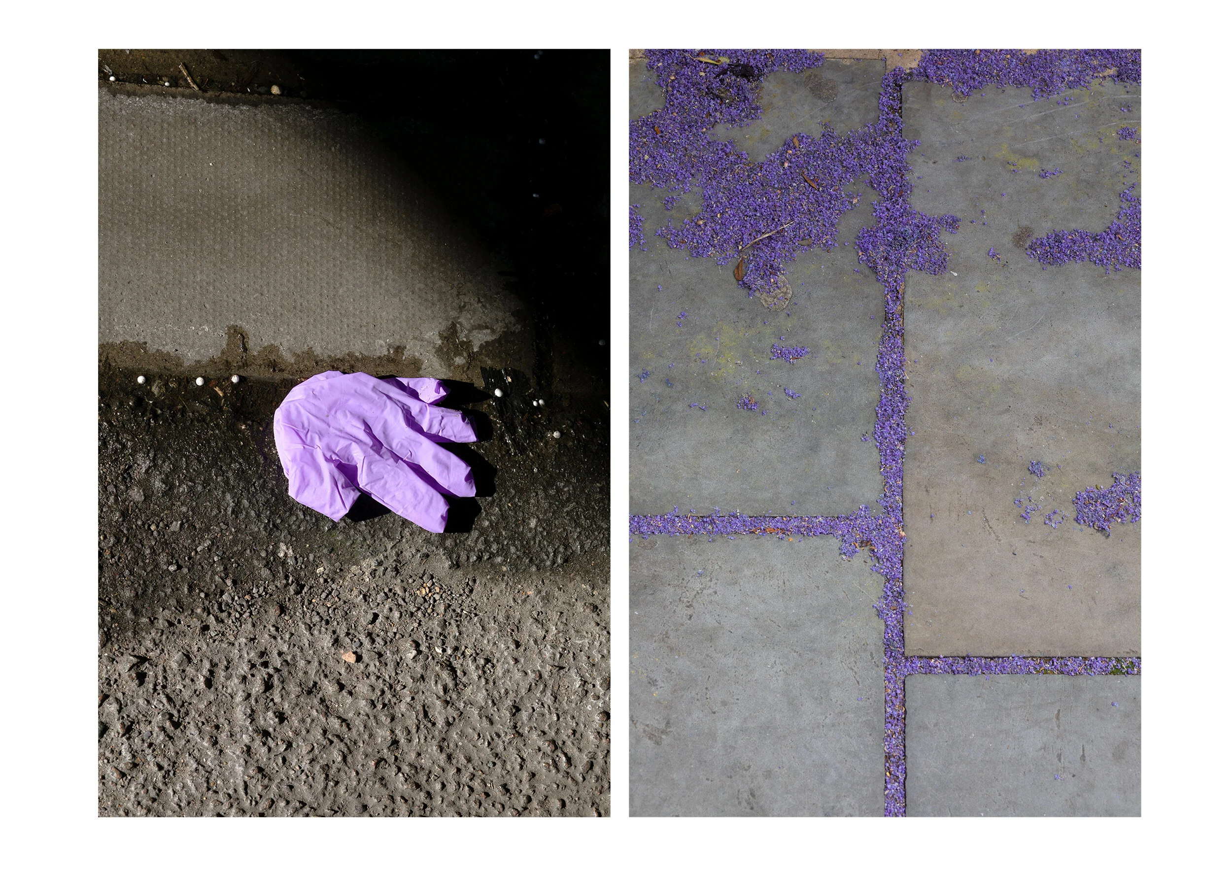 Postcards from the Pandemic — photograph 2 by Natasha Durlacher