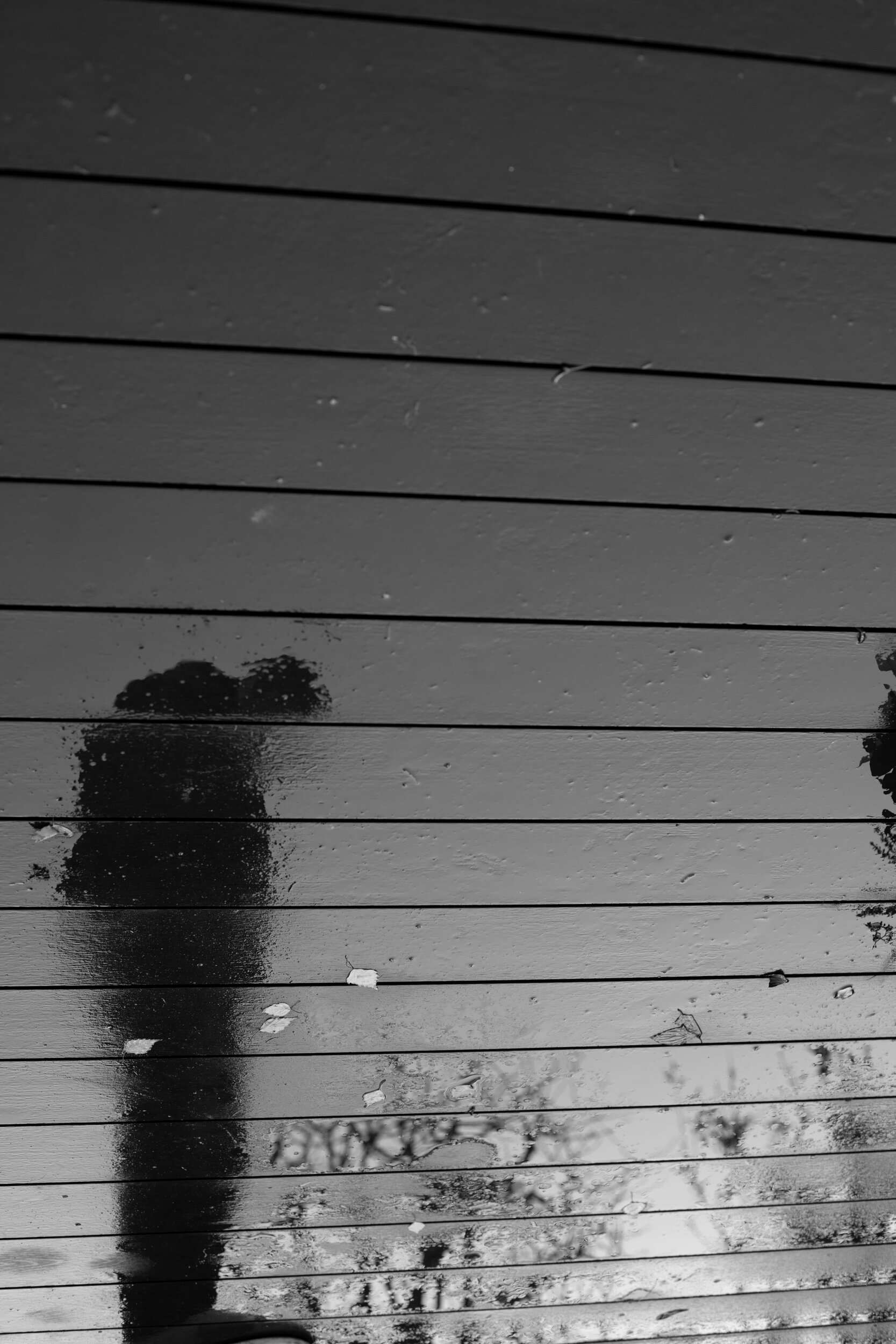 Together Apart — photograph 2 by Natasha Durlacher
