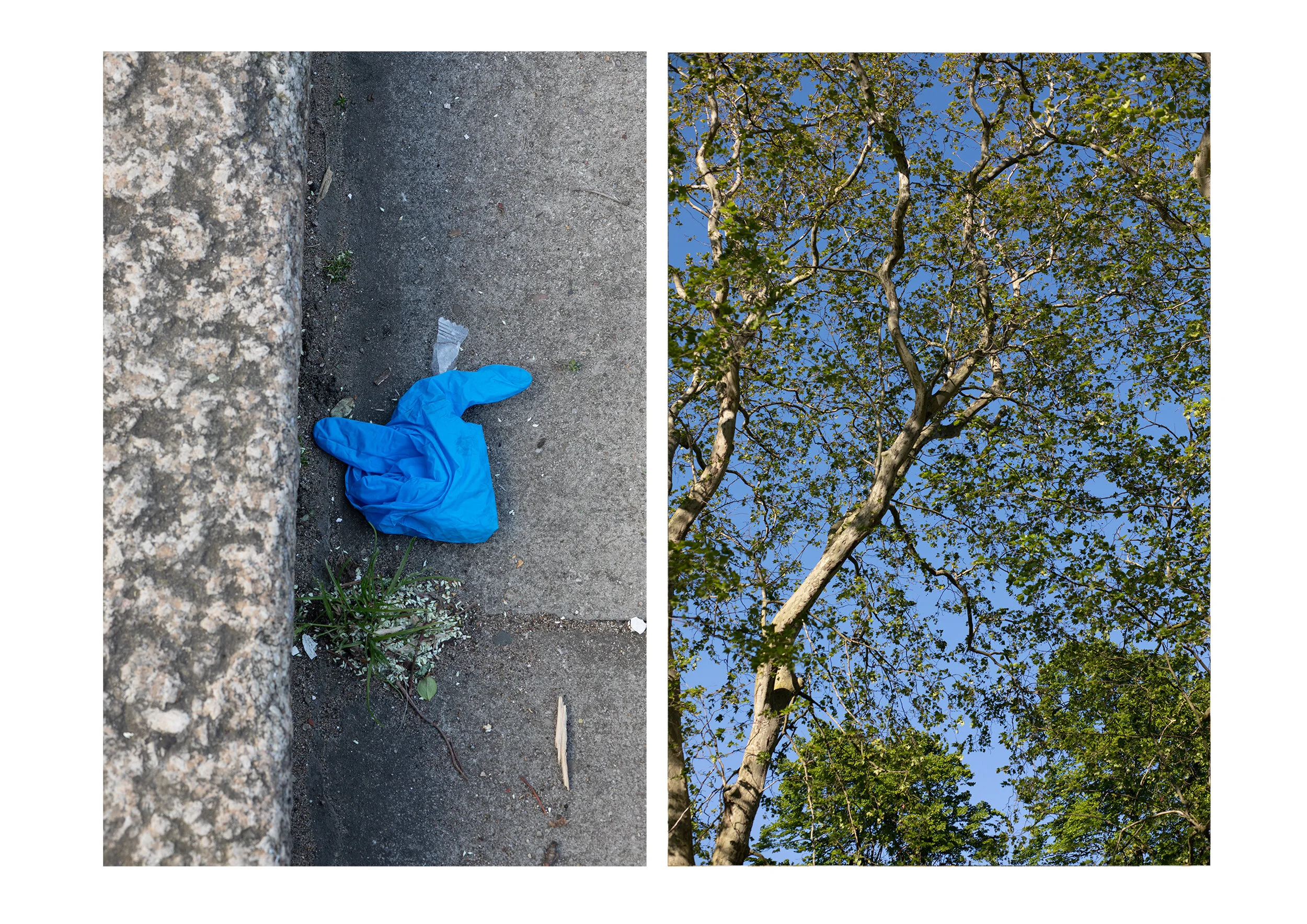 Postcards from the Pandemic — photograph 3 by Natasha Durlacher