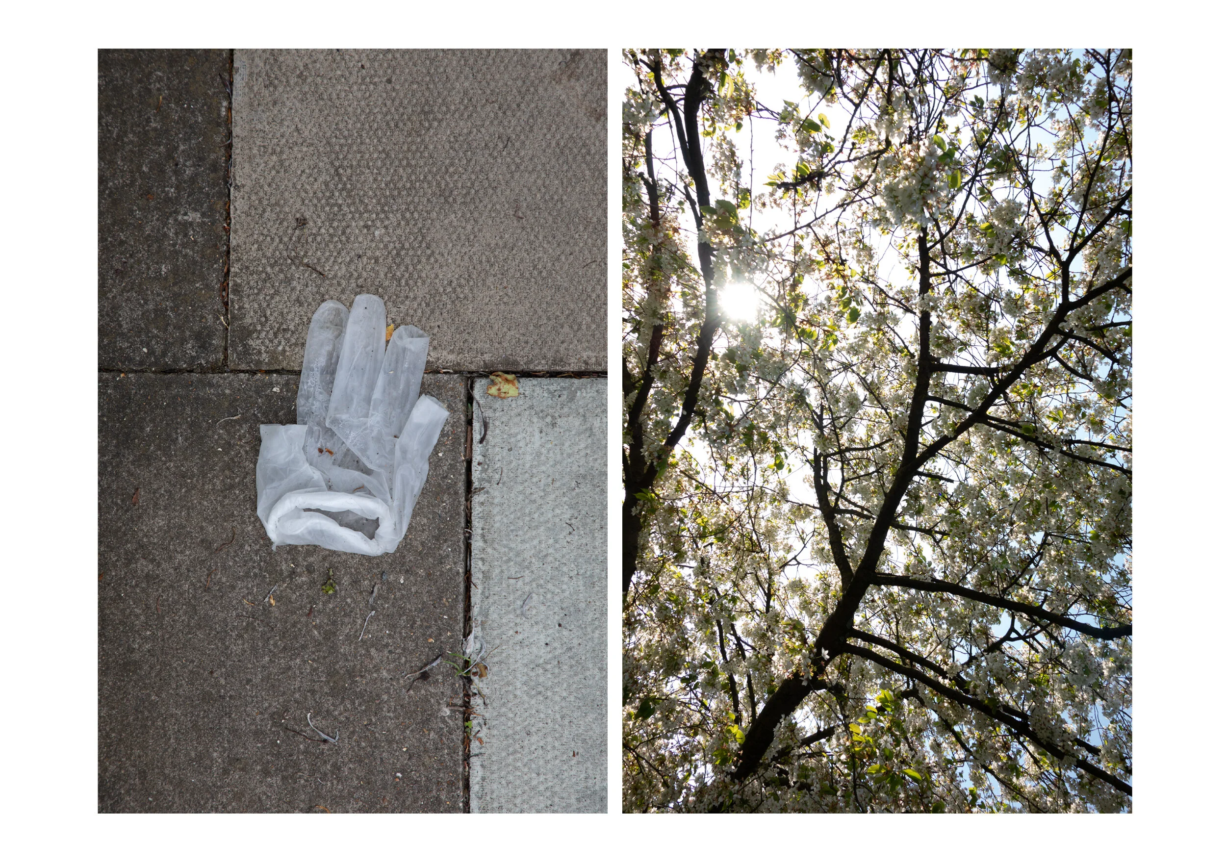 Postcards from the Pandemic — photograph 6 by Natasha Durlacher
