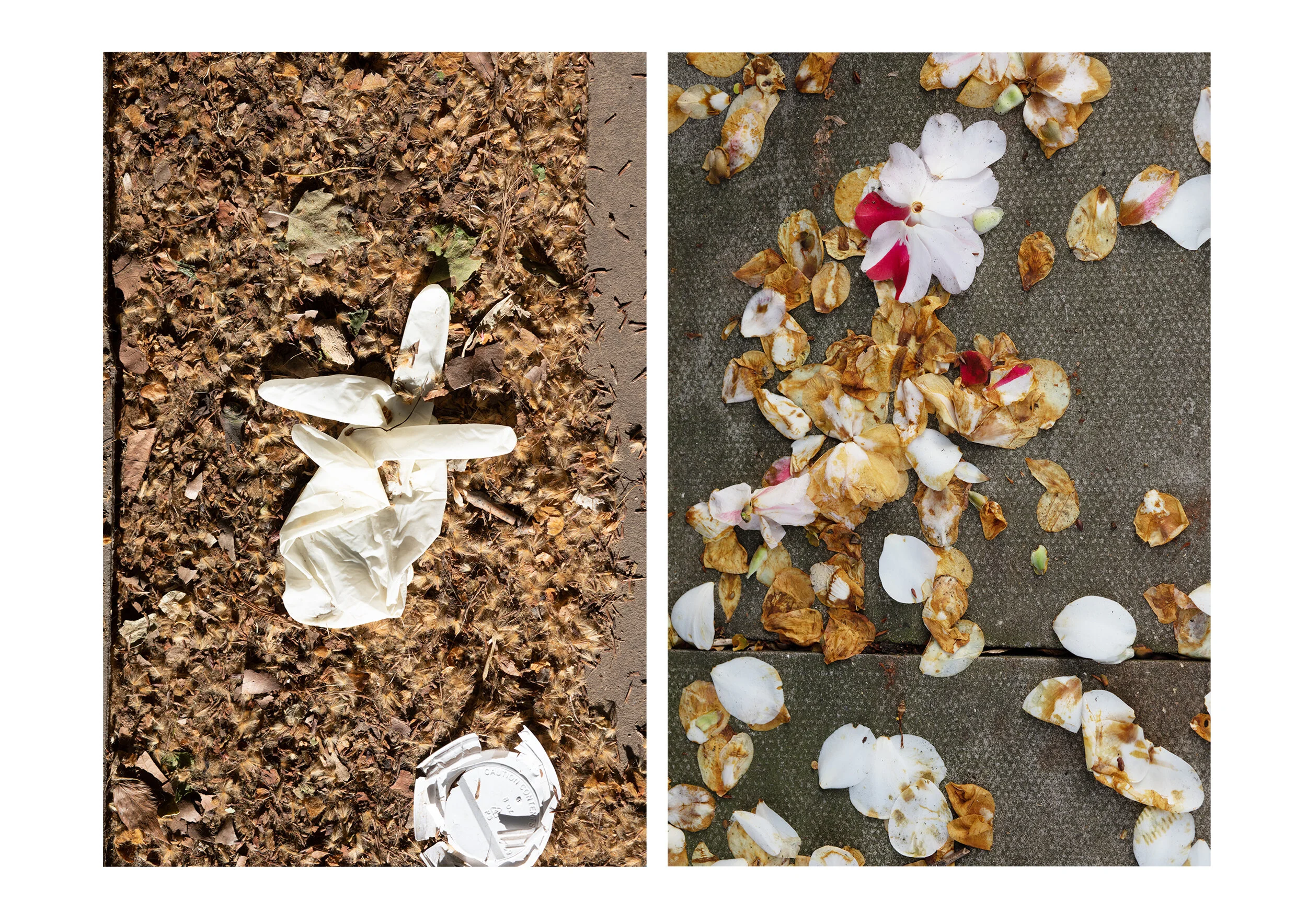 Postcards from the Pandemic — photograph 7 by Natasha Durlacher