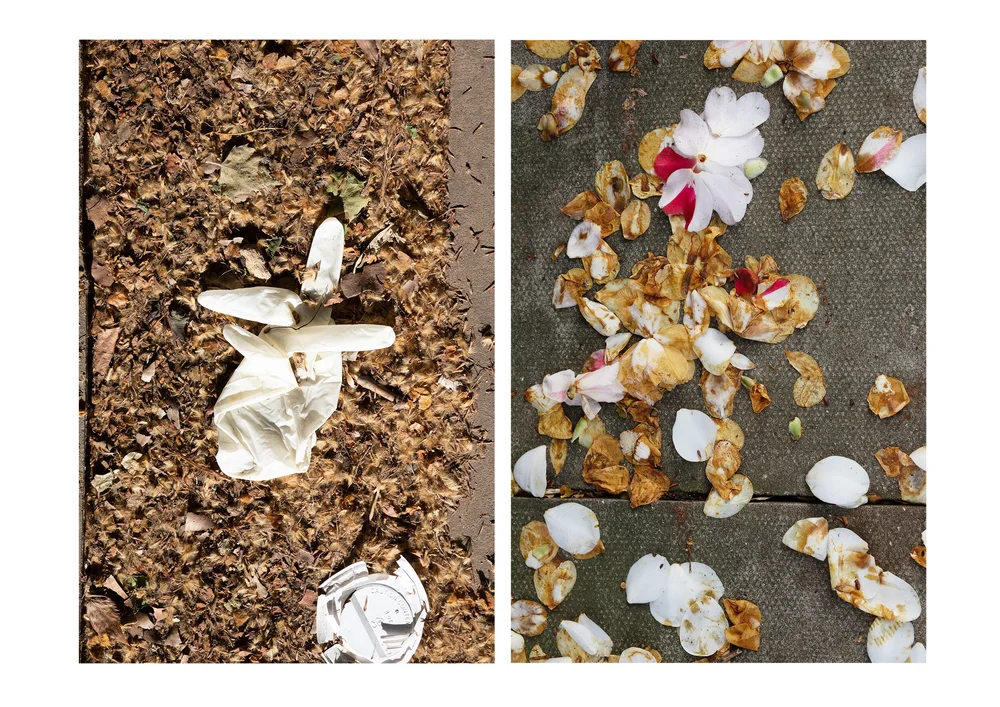 Postcards from the Pandemic — photograph 8 by Natasha Durlacher