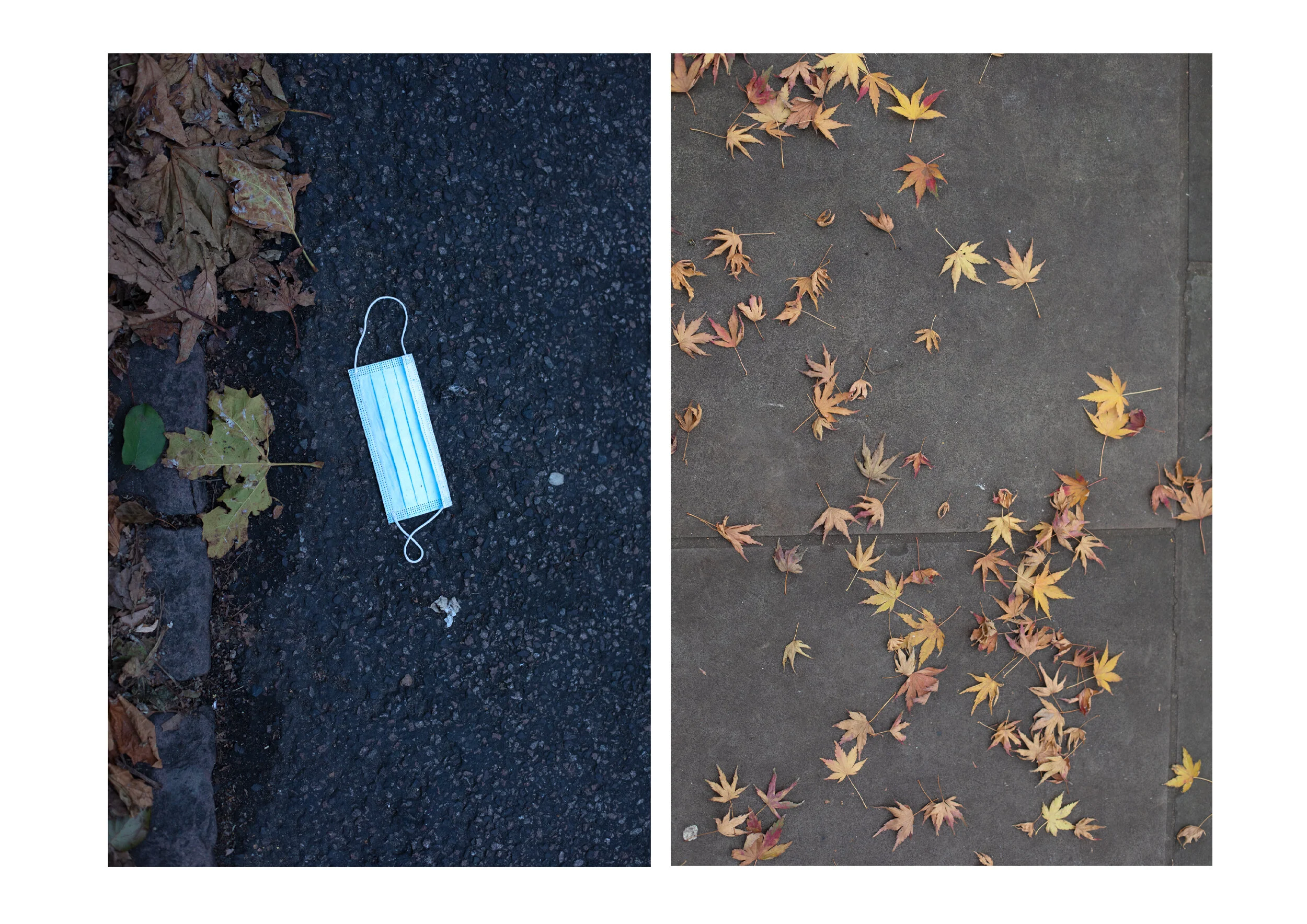 Postcards from the Pandemic — photograph 9 by Natasha Durlacher