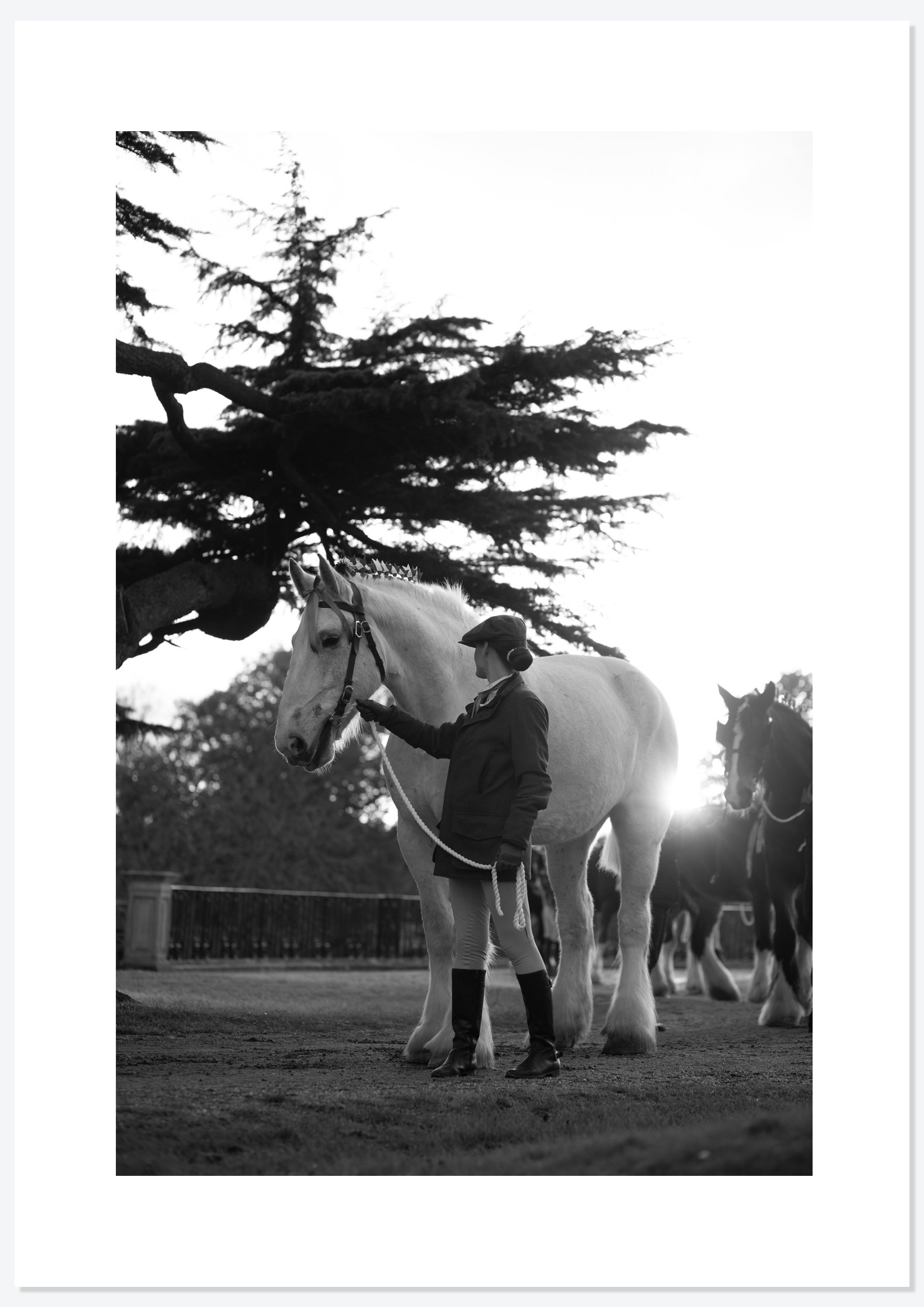 Bracken Rolling — photograph 10 by Natasha Durlacher