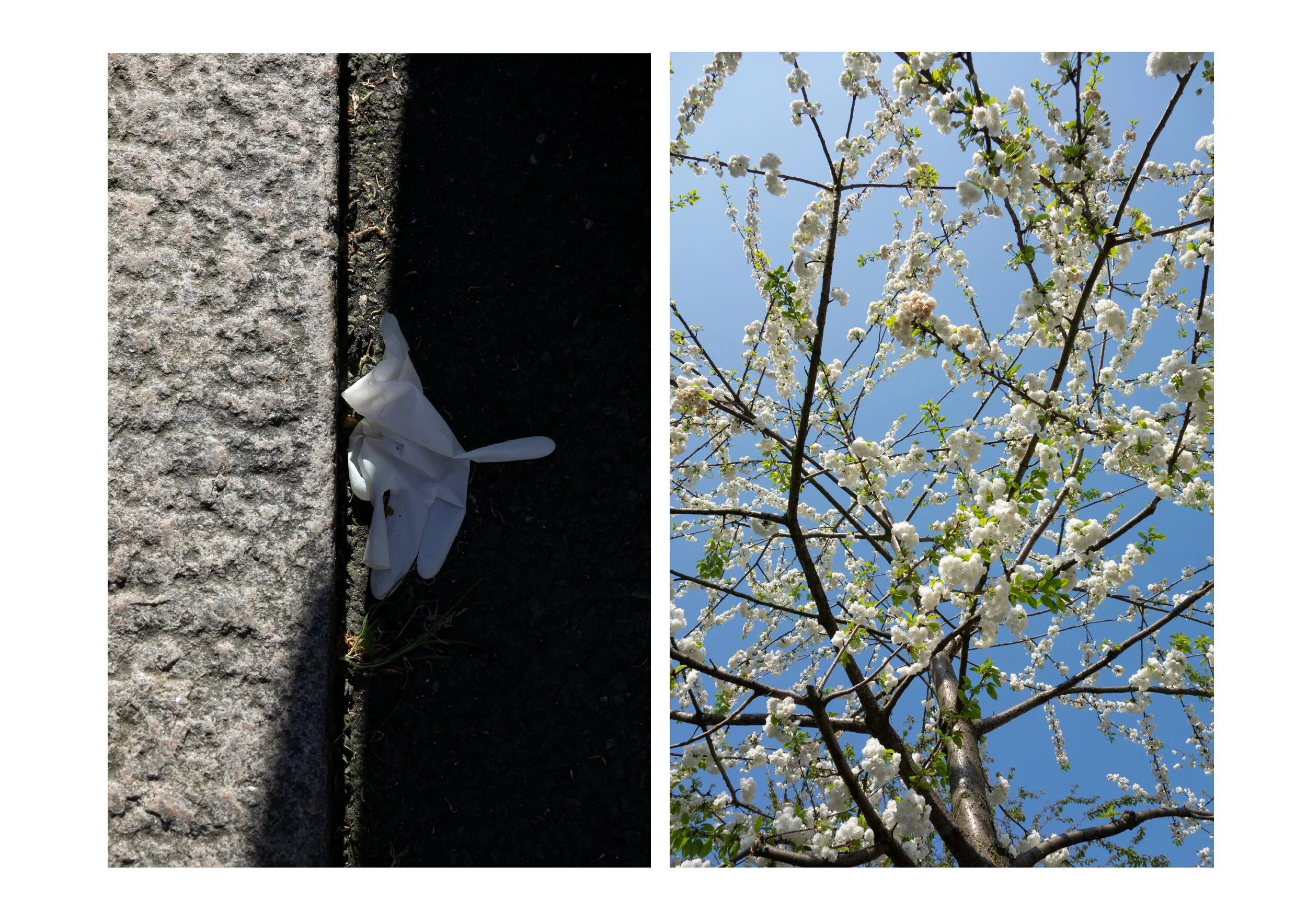Postcards from the Pandemic — photograph 10 by Natasha Durlacher