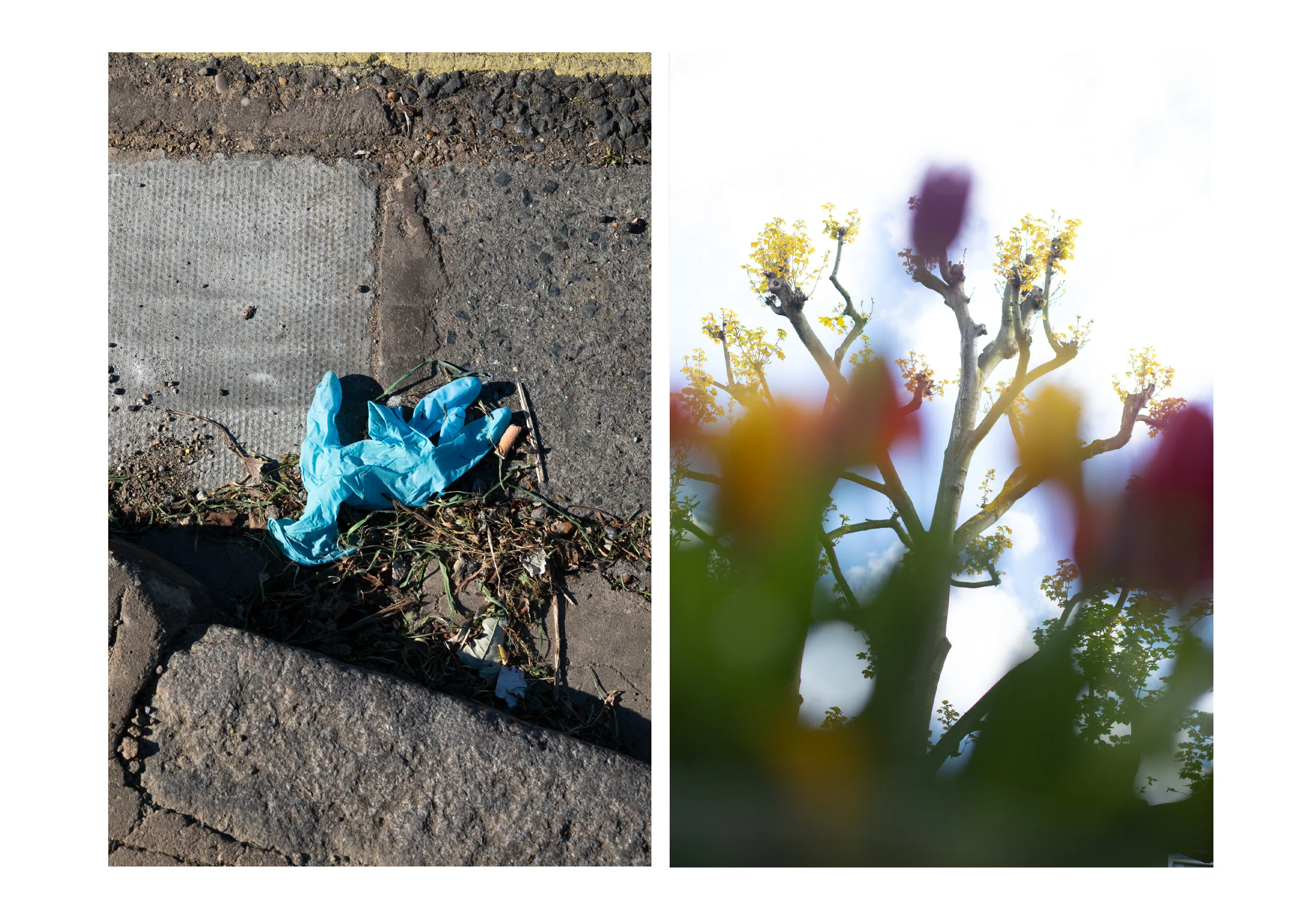 Postcards from the Pandemic — photograph 11 by Natasha Durlacher