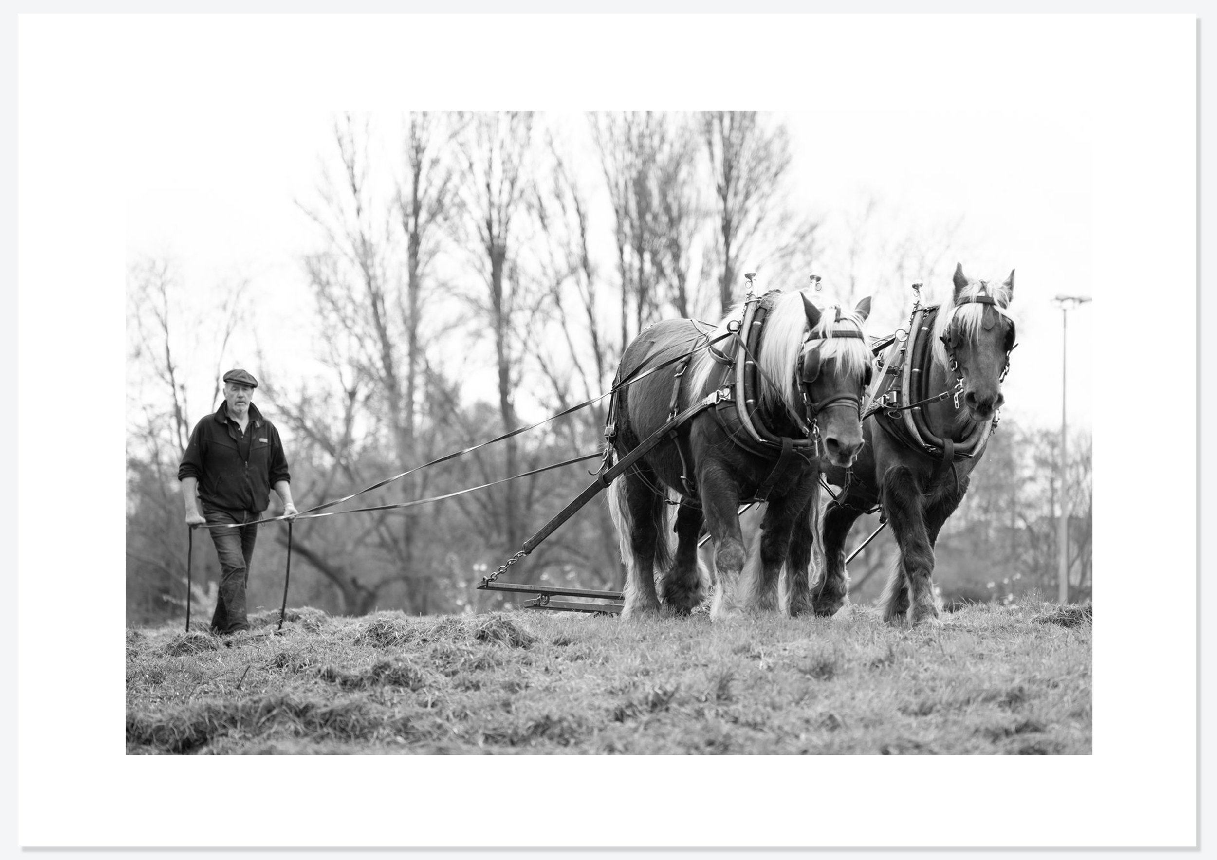 Bracken Rolling — photograph 12 by Natasha Durlacher