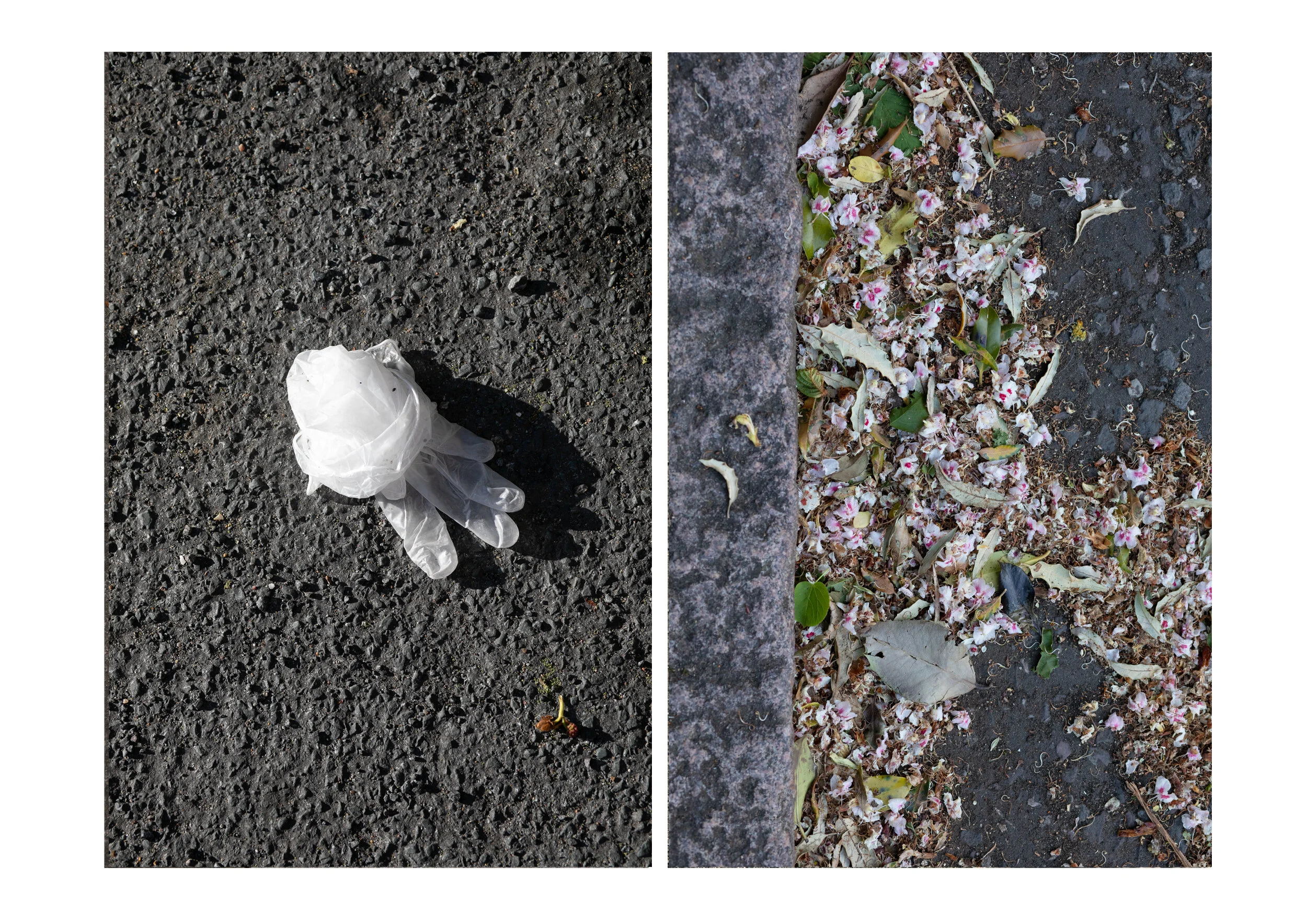 Postcards from the Pandemic — photograph 12 by Natasha Durlacher