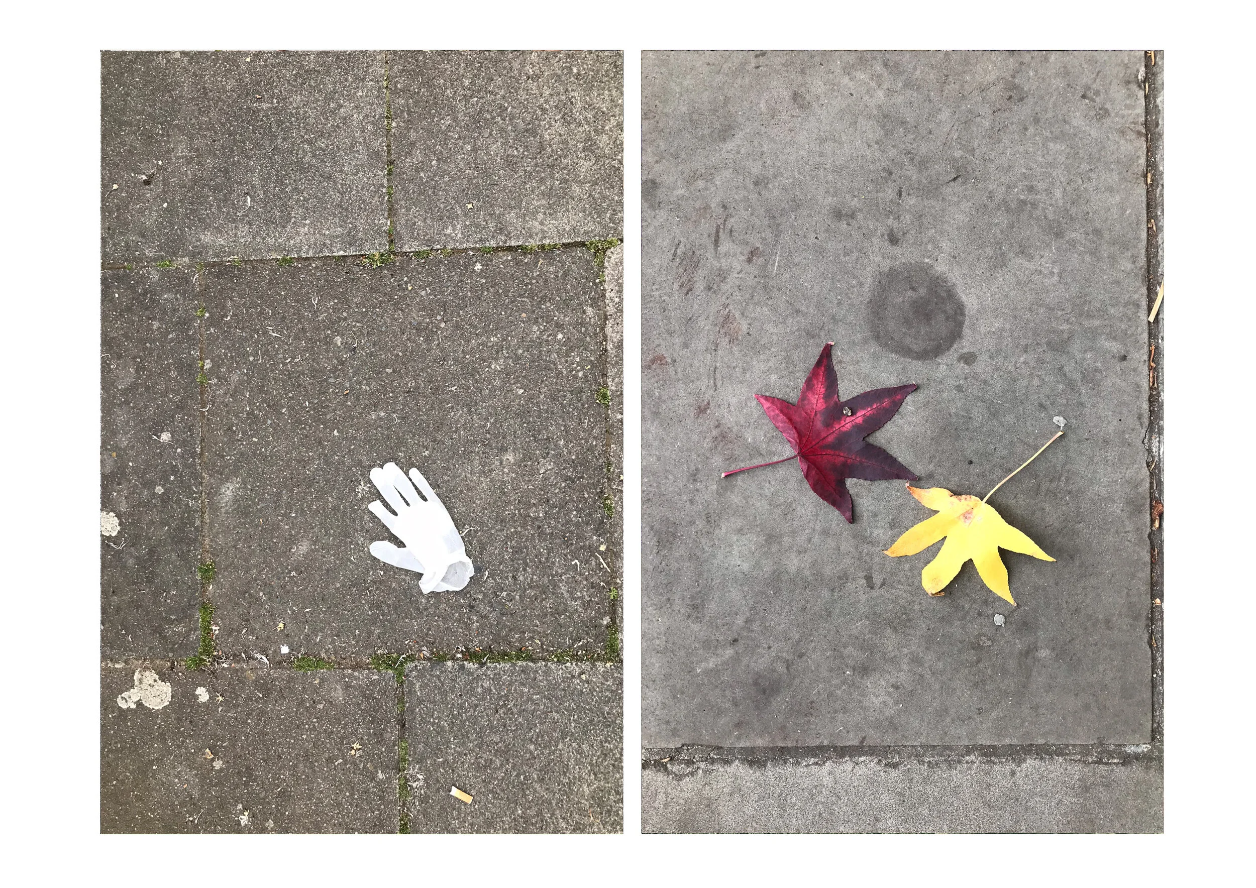 Postcards from the Pandemic — photograph 14 by Natasha Durlacher