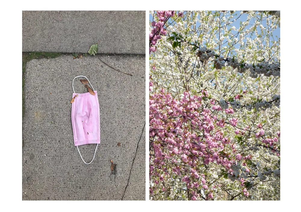Postcards from the Pandemic — photograph 15 by Natasha Durlacher