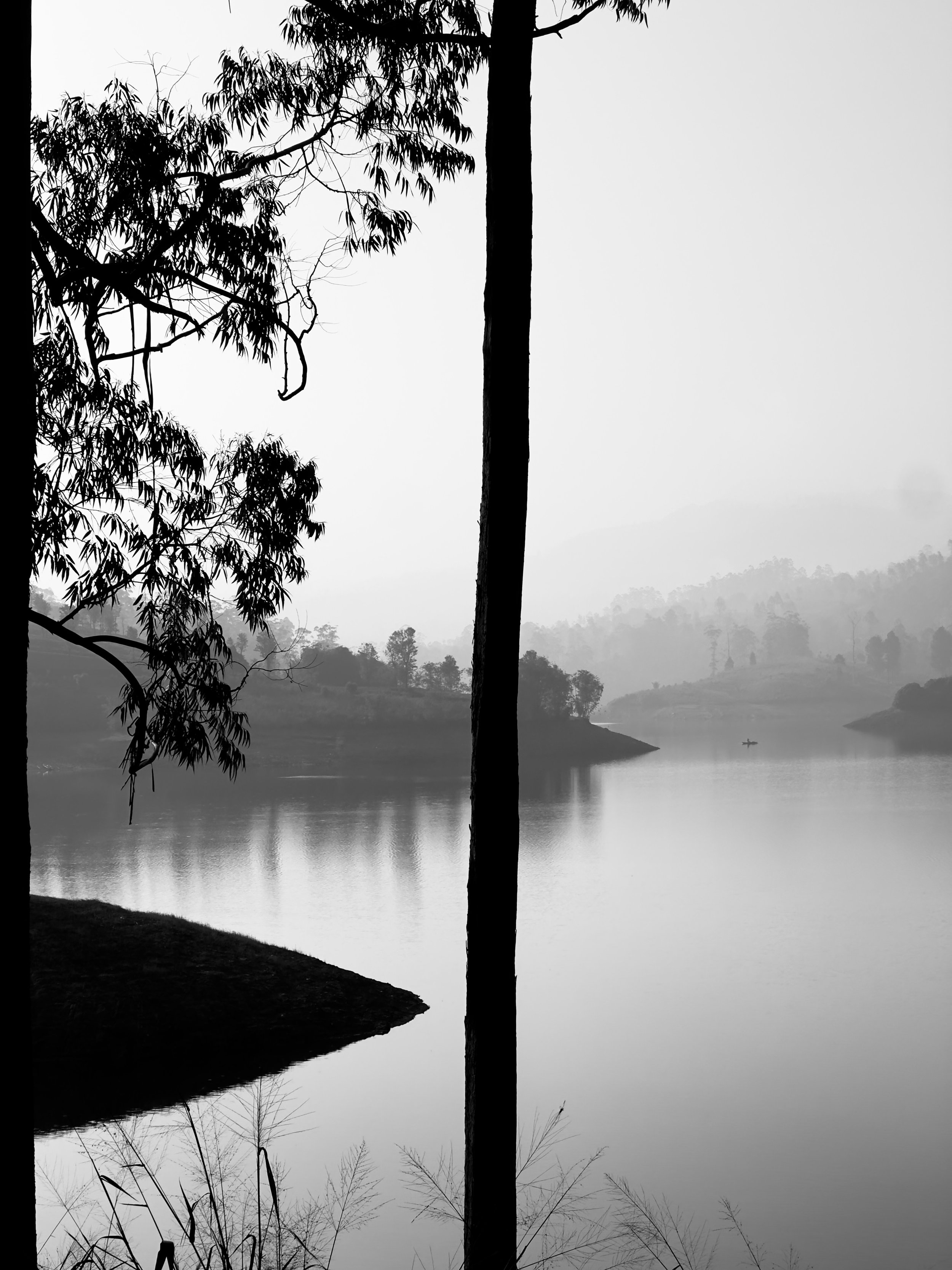 Landscape gallery