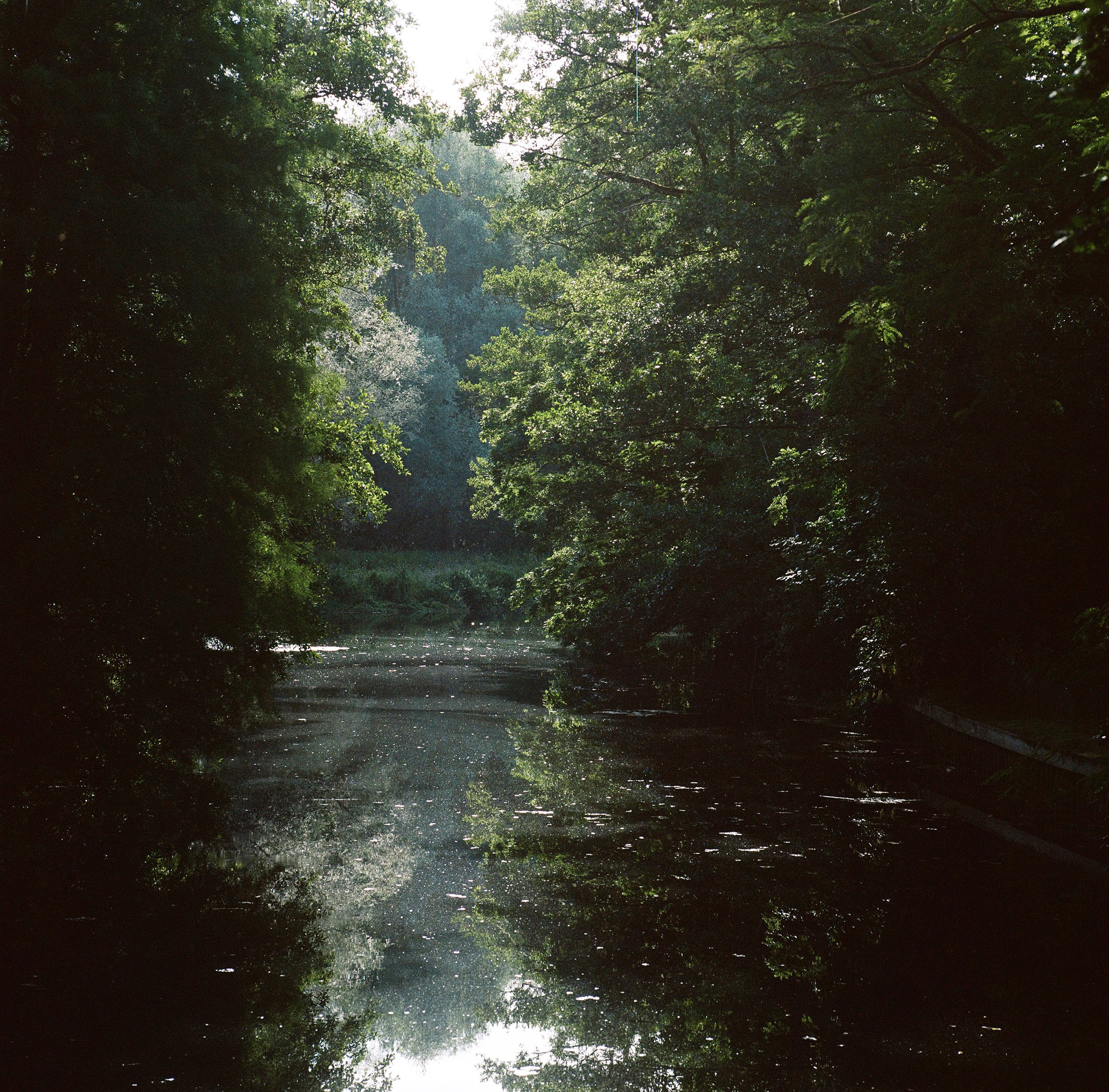 River, photograph by Natasha Durlacher